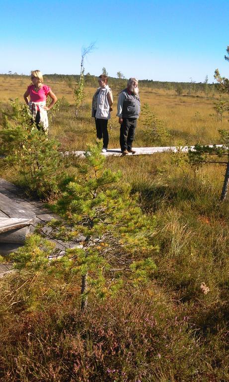 Kõrtsitalu külalistemaja Kopu (Viljandimaa) Exterior foto