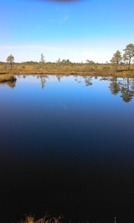 Kõrtsitalu külalistemaja Kopu (Viljandimaa) Exterior foto