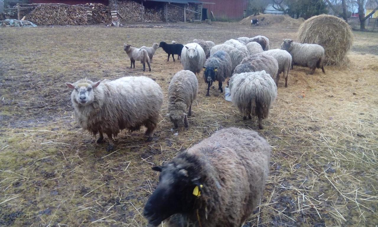 Kõrtsitalu külalistemaja Kopu (Viljandimaa) Exterior foto